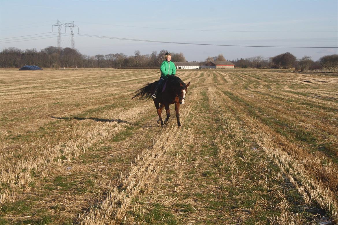 Anden særlig race Lutricia aka Tricia <3 billede 7