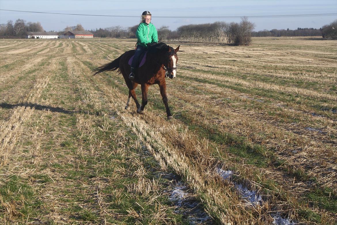 Anden særlig race Lutricia aka Tricia <3 billede 4