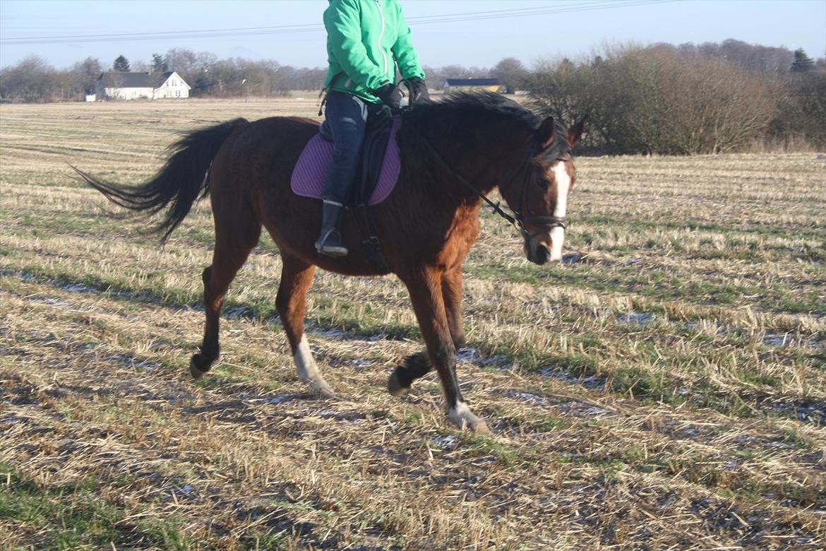 Anden særlig race Lutricia aka Tricia <3 billede 13