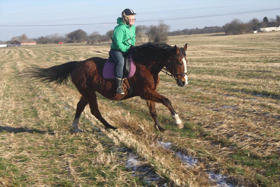 Anden særlig race Lutricia aka Tricia <3 billede 14