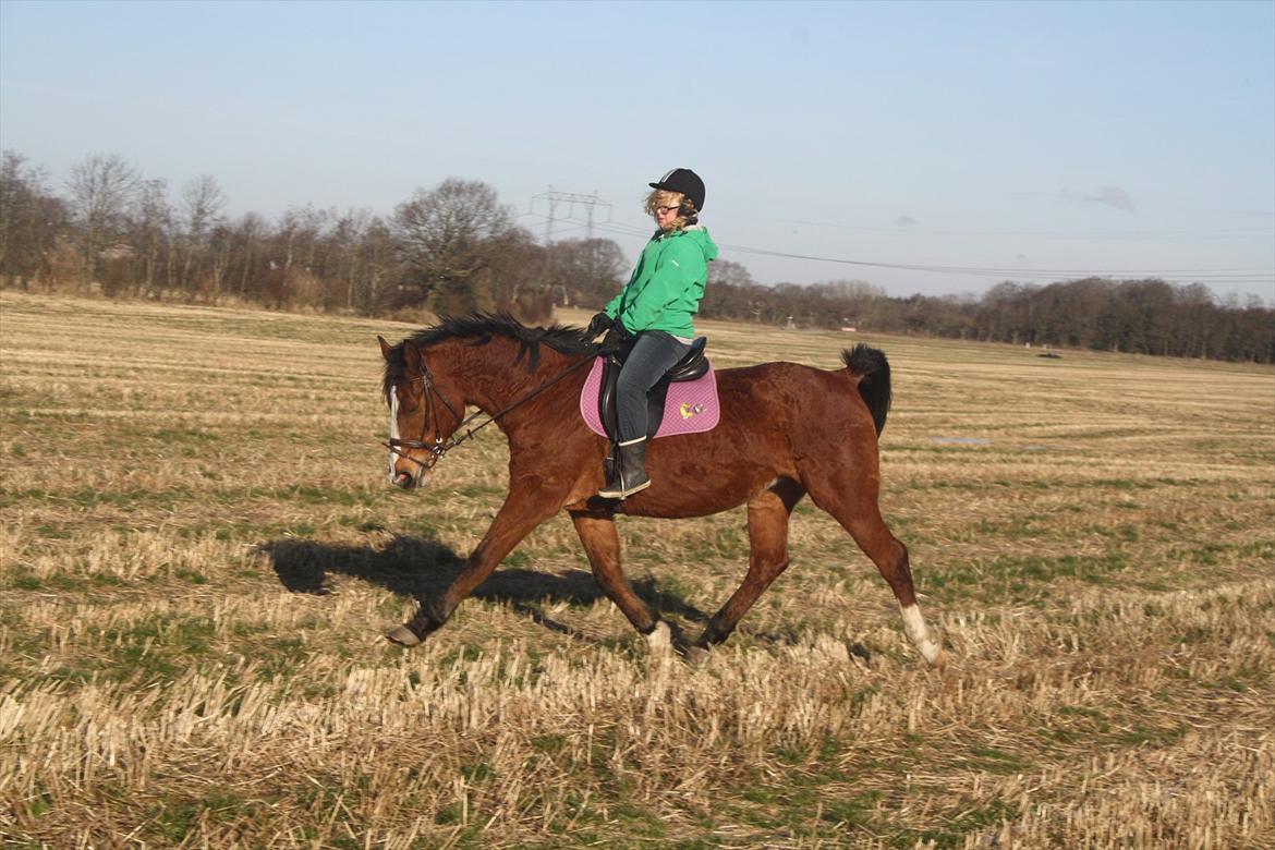 Anden særlig race Lutricia aka Tricia <3 billede 6