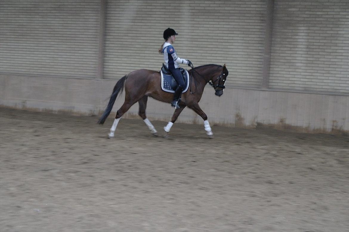 DSP Donnivi billede 13