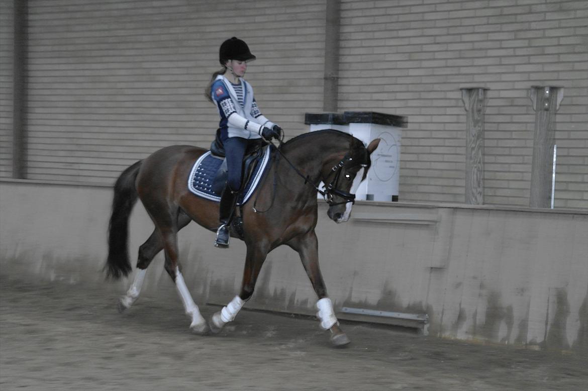 DSP Donnivi billede 14