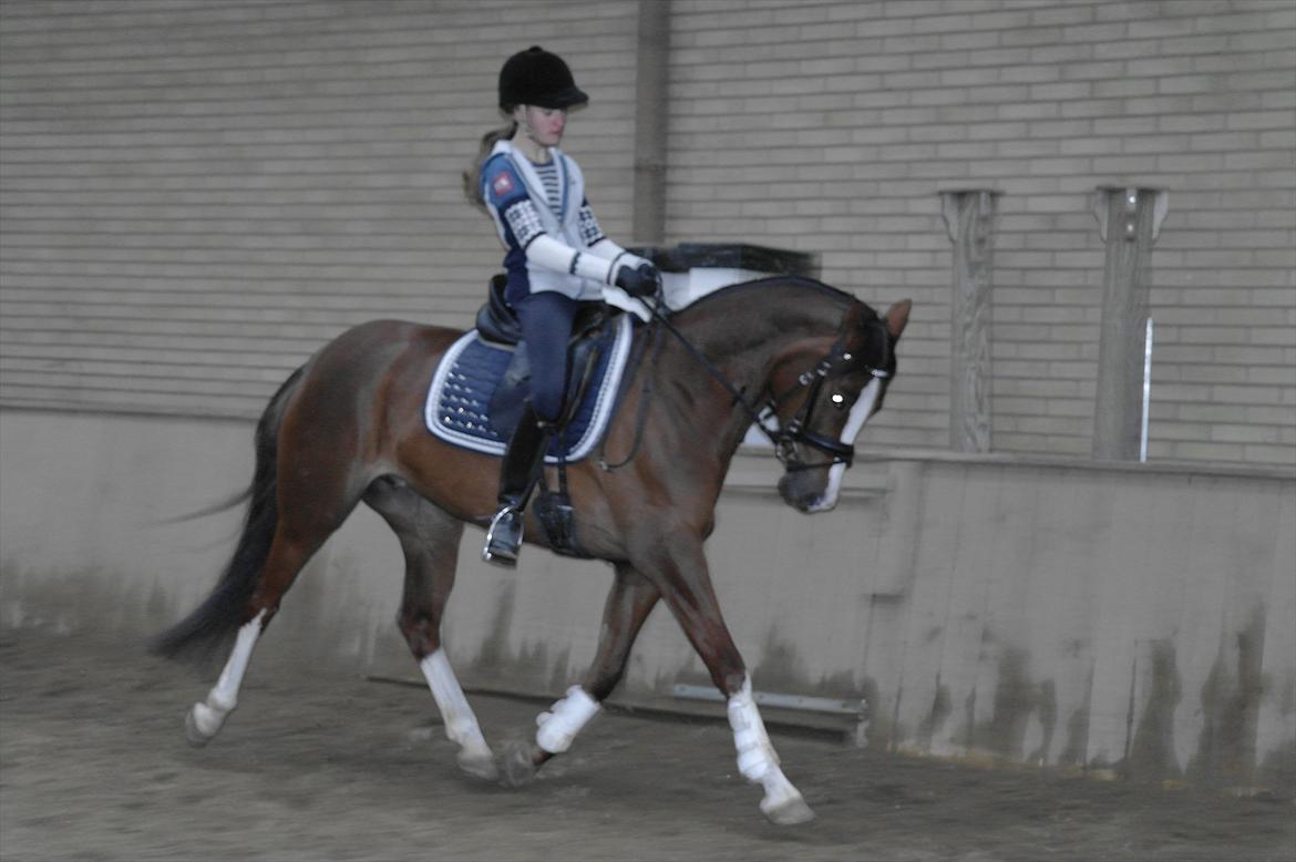 DSP Donnivi billede 15