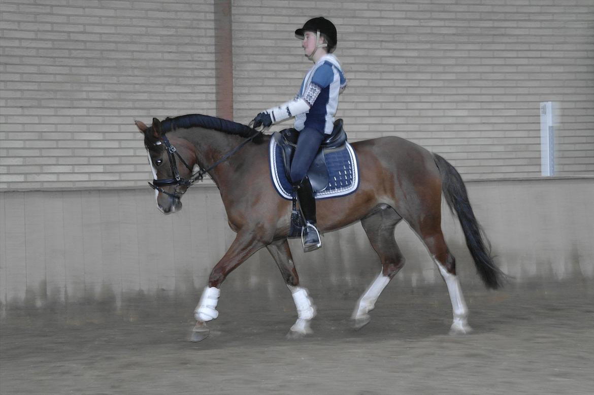 DSP Donnivi billede 16