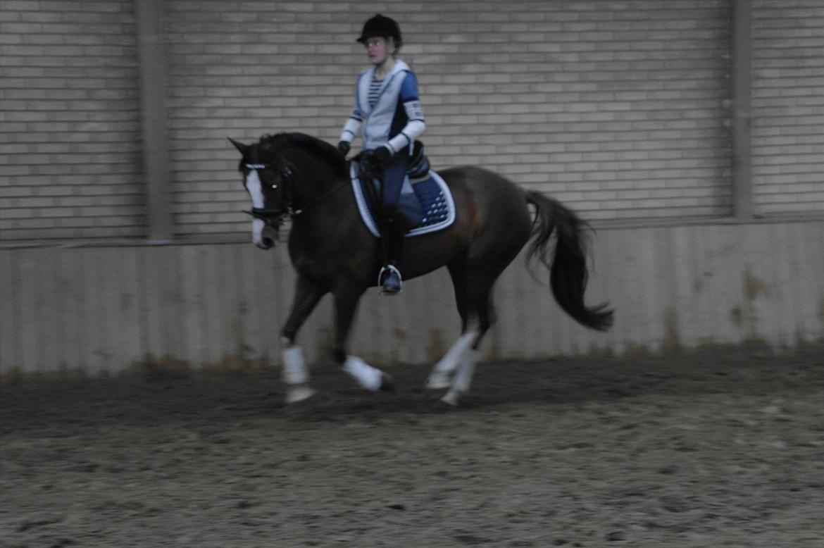 DSP Donnivi billede 17