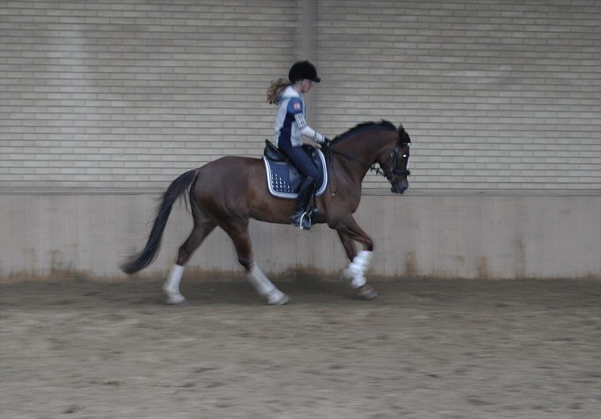 DSP Donnivi billede 19