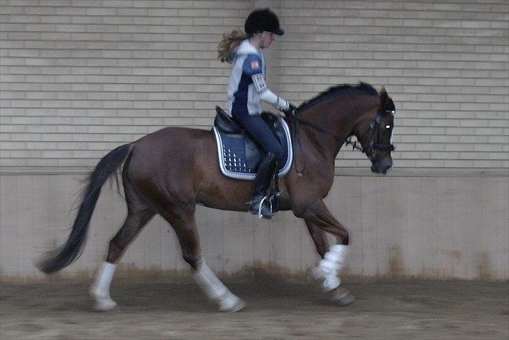 DSP Donnivi billede 20