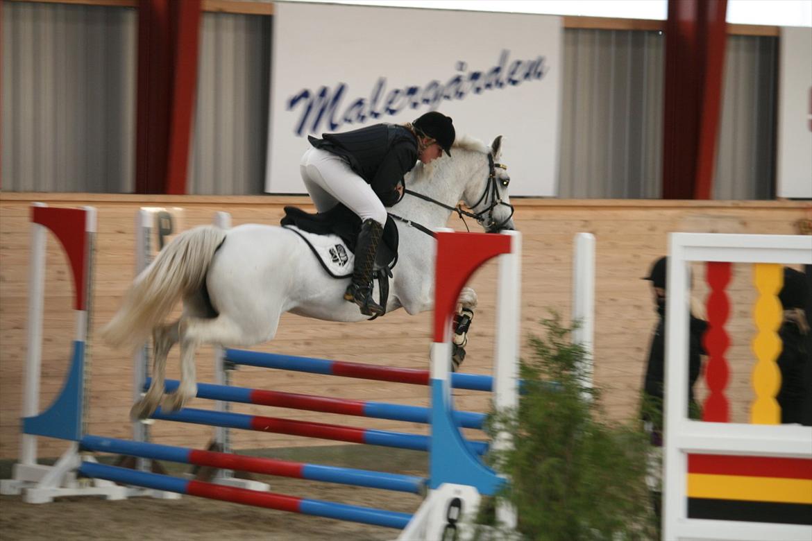 Anden særlig race Star B-PONY! - mig og star la*  billede 1