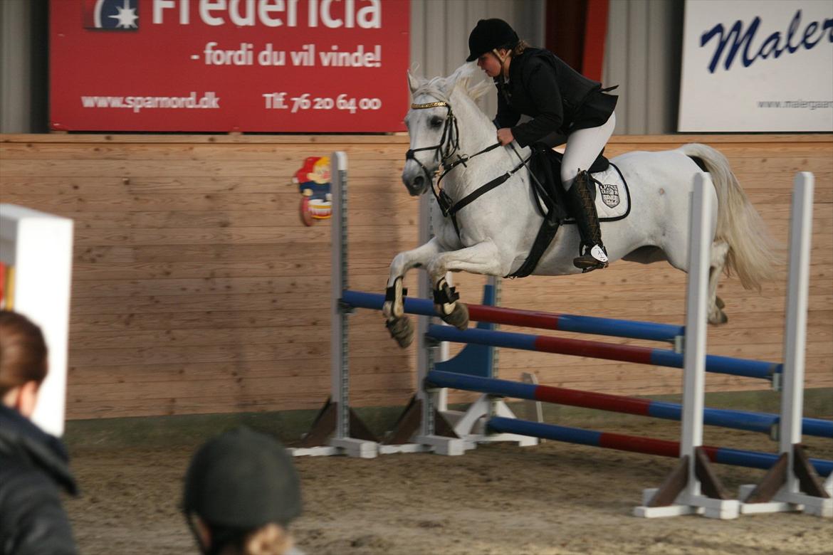 Anden særlig race Star B-PONY! - egum 2011:-) billede 9