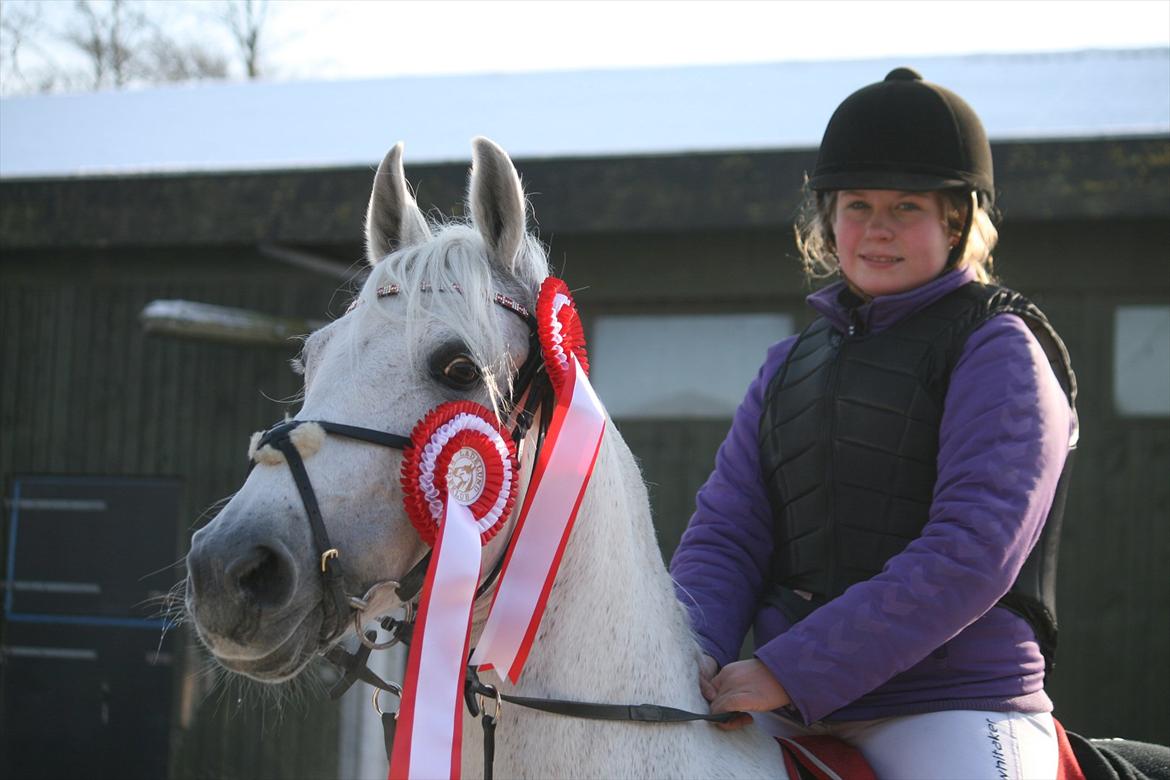 Anden særlig race Star B-PONY! - mig og star efter lb** og la** :-) billede 11