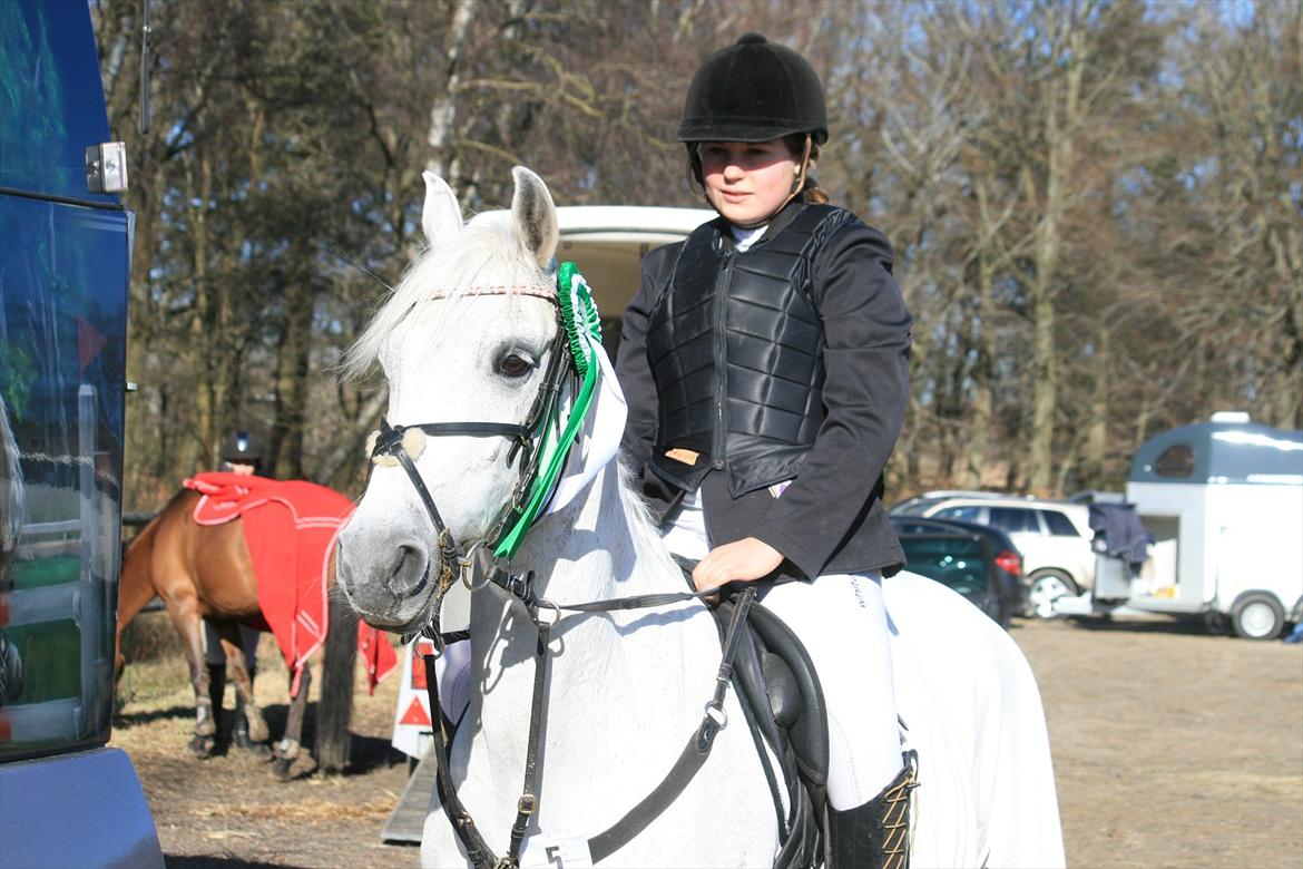 Anden særlig race Star B-PONY! - efter la* i herning 2012 :-) billede 13