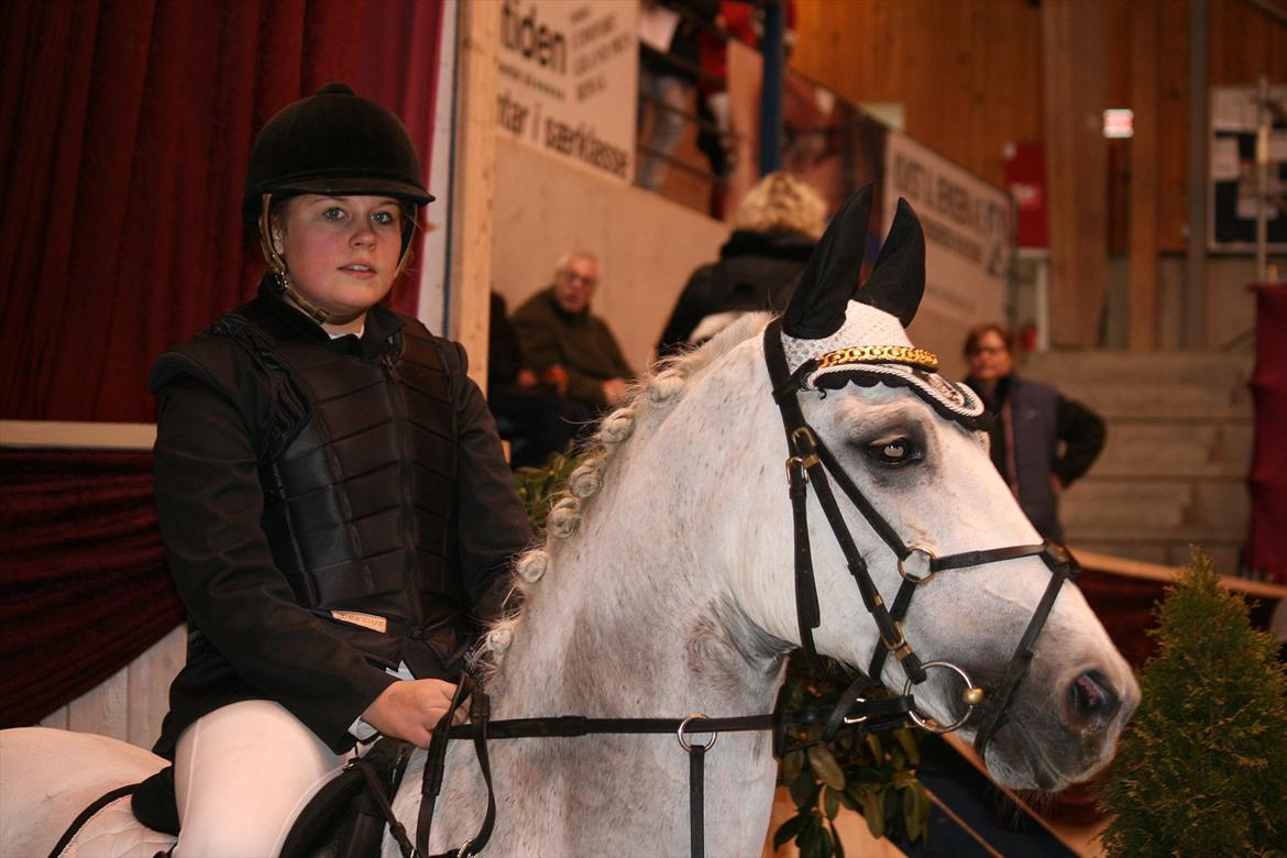 Anden særlig race Star B-PONY! billede 14