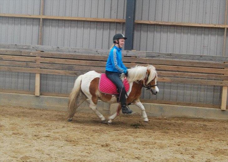 Anden særlig race Frida  - 5. gang med rytter. 1. april.  billede 8