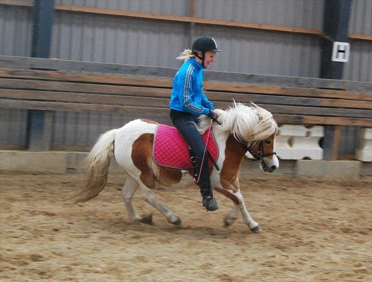 Anden særlig race Frida  - 5 gang med rytter 1. april billede 10