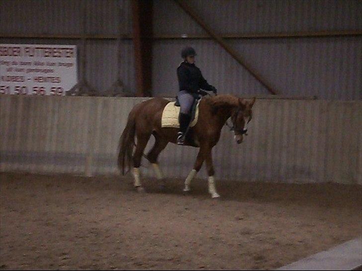 Anden særlig race FoxTrot - skridt 1 April 2012 
:D billede 4