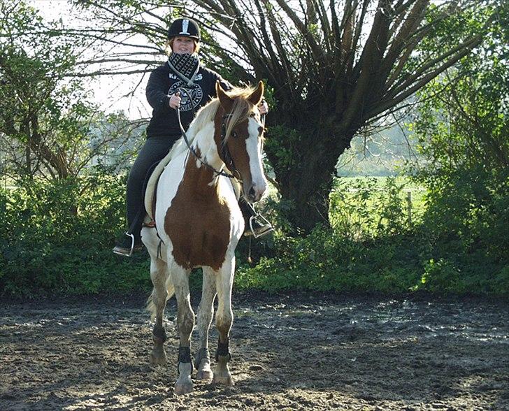 Anden særlig race Olivar - Solgt - Første gang jeg rider på Ollen. Det er dog ved at være nogen dage siden ;-) (Lånt af Anne) billede 7