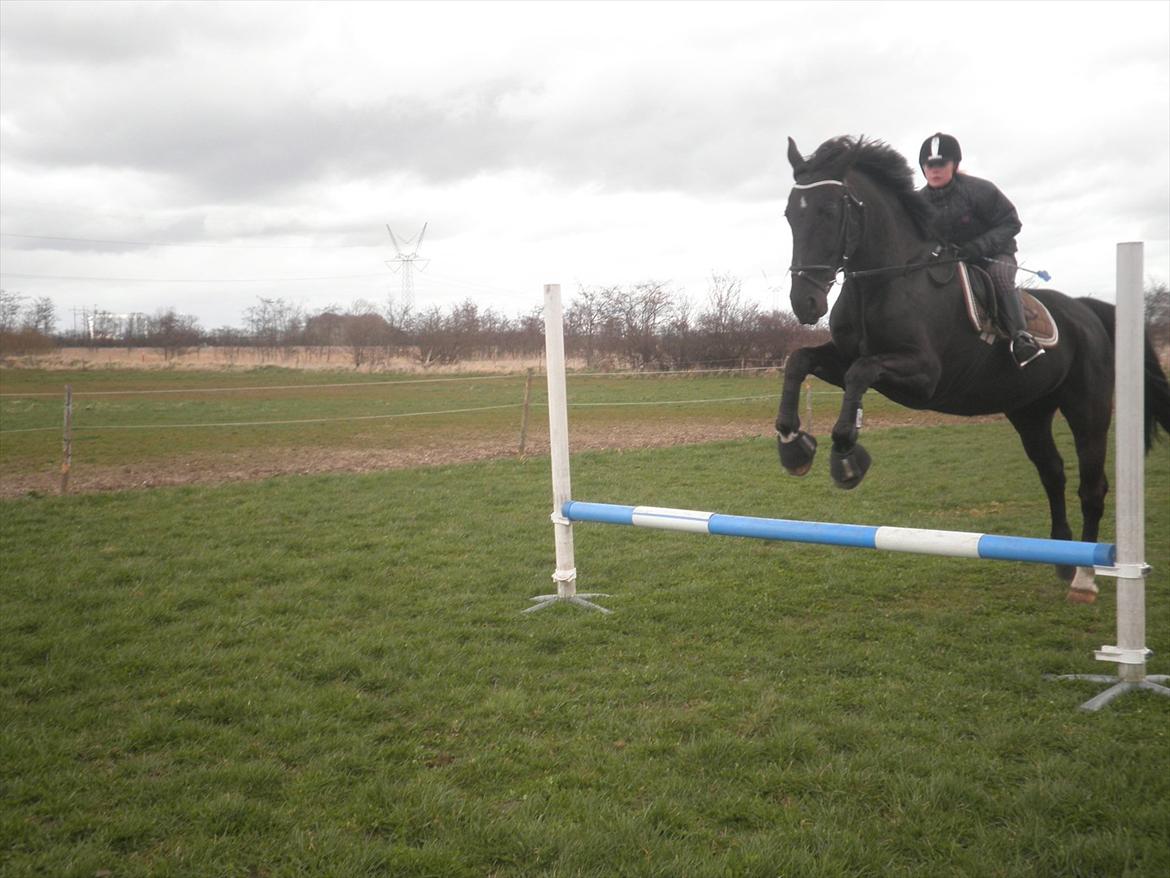 Oldenborg Buster  billede 17