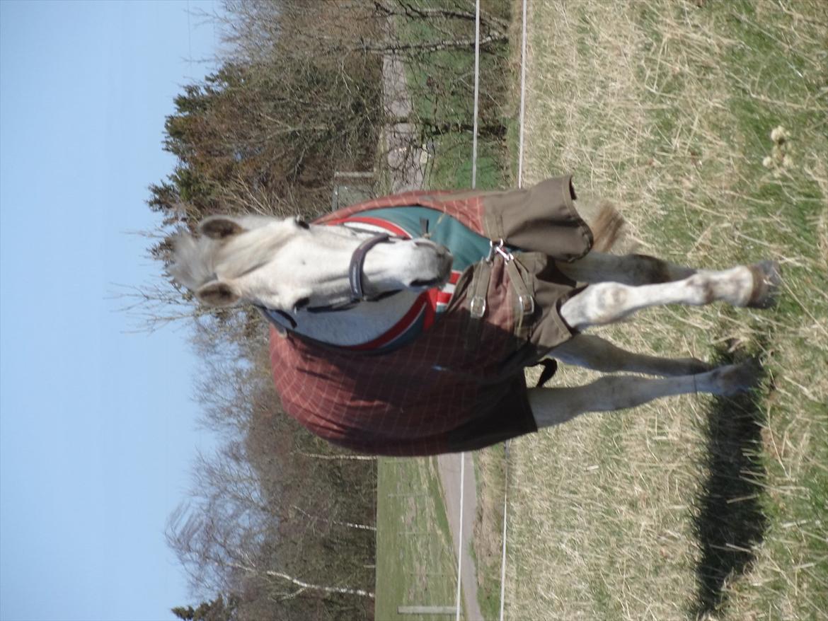 New Forest EGEBALLES KADETZSKI  - Jeg har lært at 1 døgn er 24 timer, 1 time er 60 min, 1 minut er 60 sek.... Men ingen fortalte mig at hvert sekundt uden dig er en evighed. billede 15