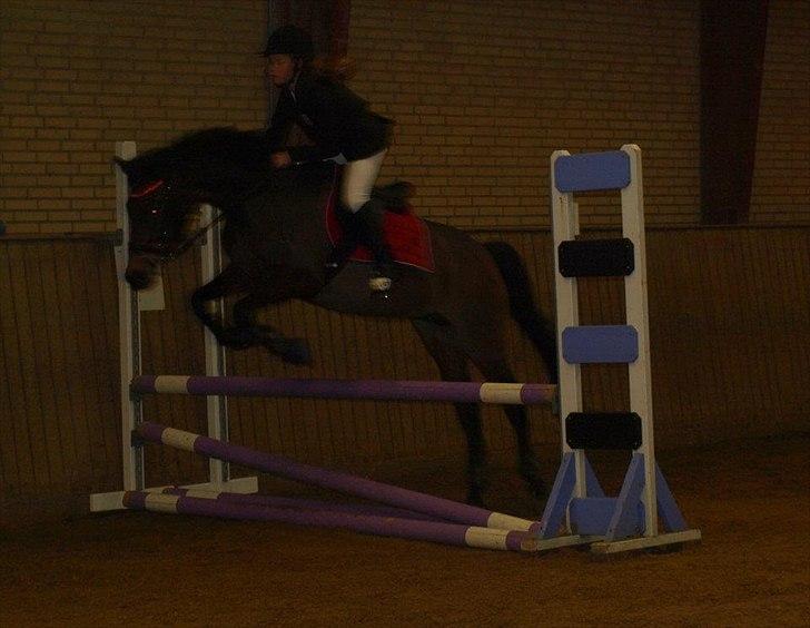 New Forest Lady Antares Stjernen!<33 - ♥♥:* billede 7