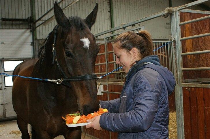 Dansk Varmblod Bjerglunds Sunlight - [d. 1/4 12] | På Sunlights fødselsdag!  billede 13