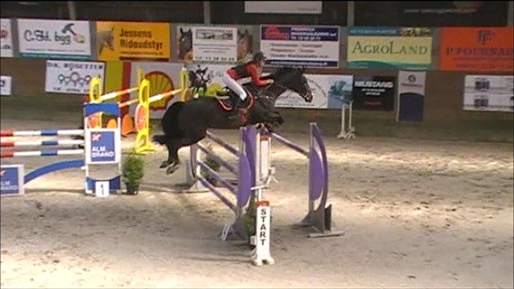 Hollandsk Varmblod Tim Town - Indendørs DM 2012 Junior :-) Taget fra video! billede 9