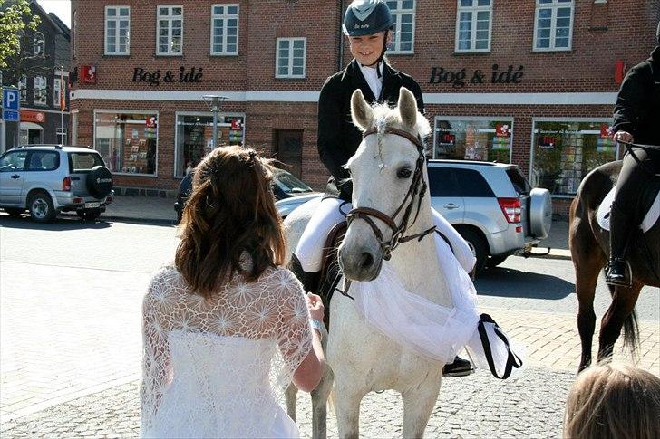 Anden særlig race Silver - Til min konfirmation sidste år. :-) billede 11