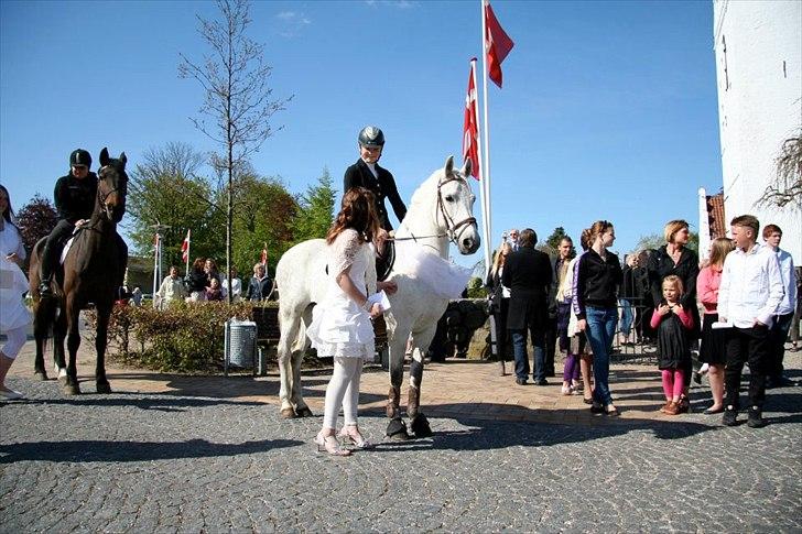 Anden særlig race Silver - Min konfirmation. :-) billede 12