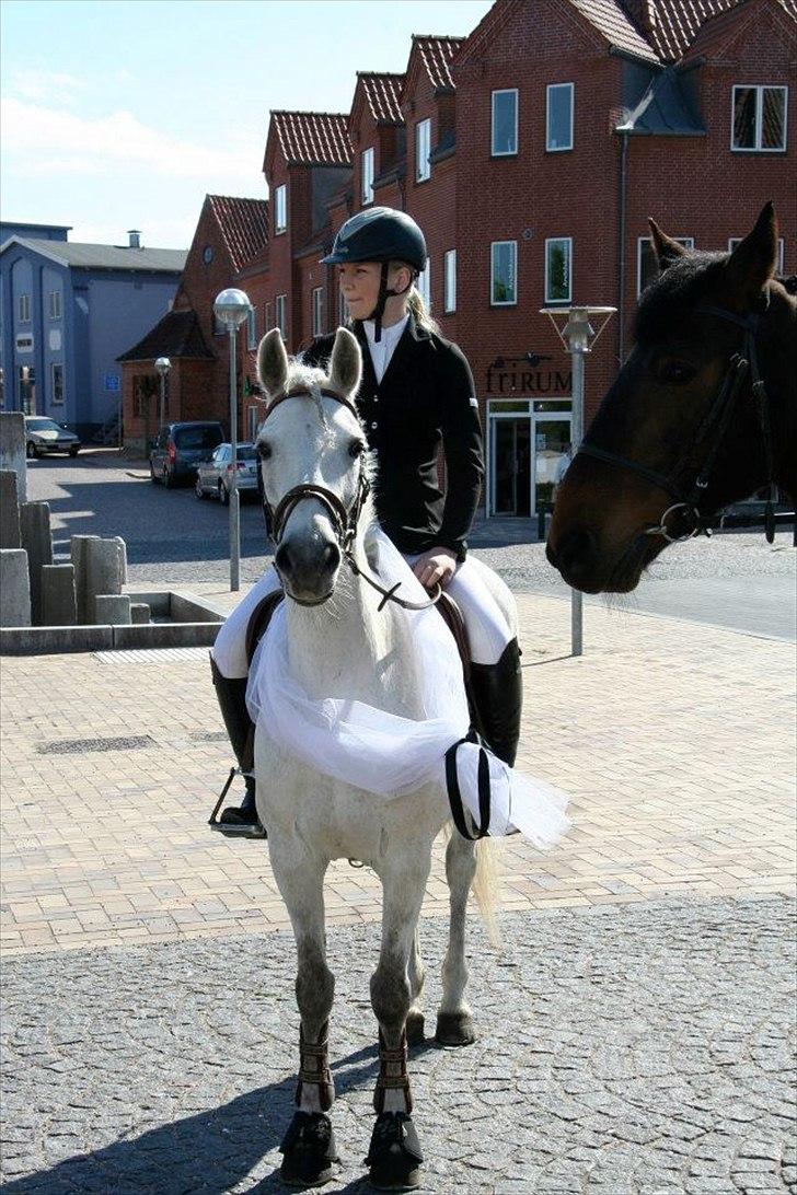 Anden særlig race Silver - Sofie og silver venter på mig udenfor kirken. :-) billede 13