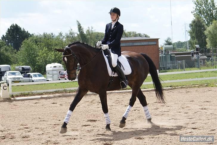 Anden særlig race Chiffon la bevuee - Venligst udlånt af tidligere ejer :) billede 2