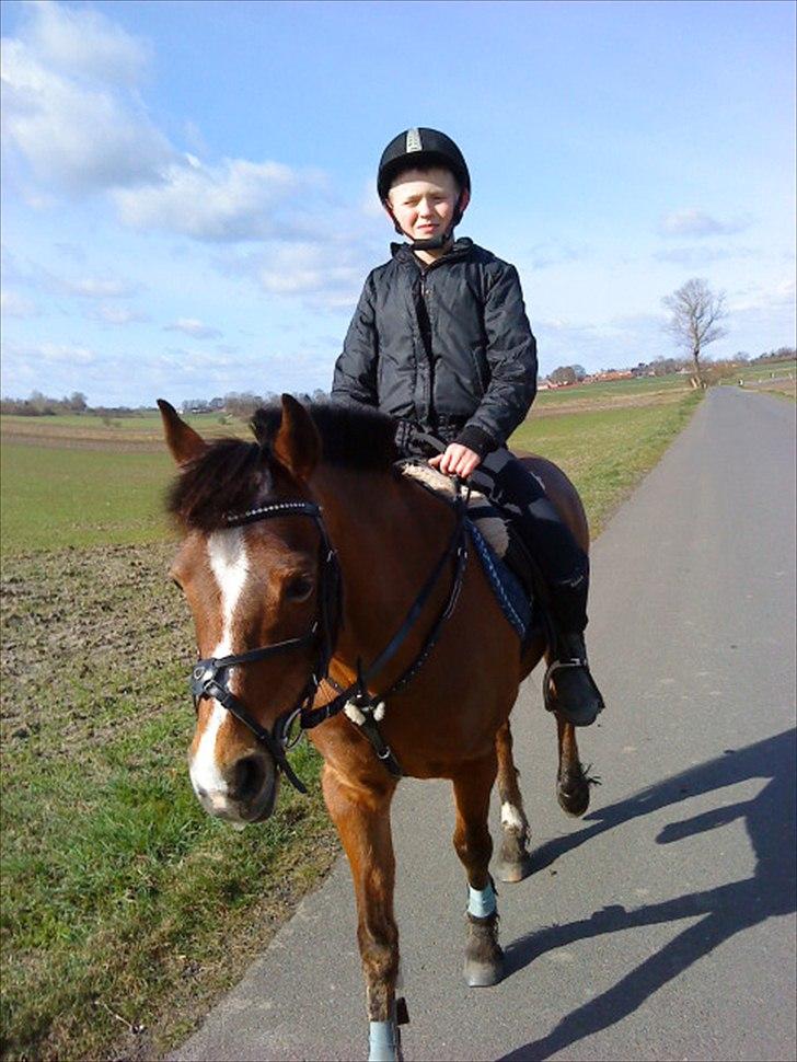 DSP Miss Tøsen *red* billede 6