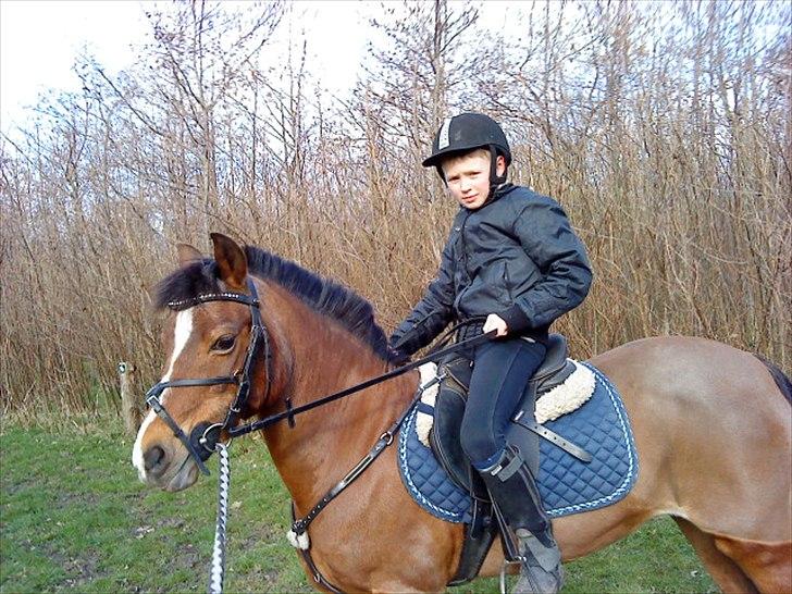 DSP Miss Tøsen *red* billede 4