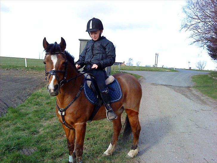 DSP Miss Tøsen *red* billede 7