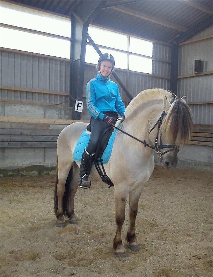 Fjordhest Hashagen's D-Mark - Dressurtræning den 2. april 2012((; billede 11