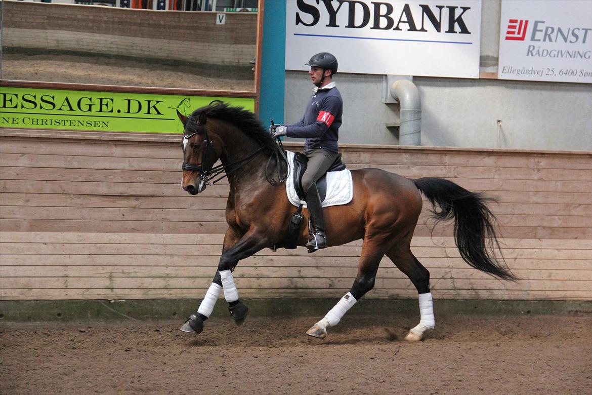 Dansk Varmblod Free Willy; Babyface <3 B-hest! - Træning d. 2. april 2012
Rytter: Michael Grønne Christensen billede 3