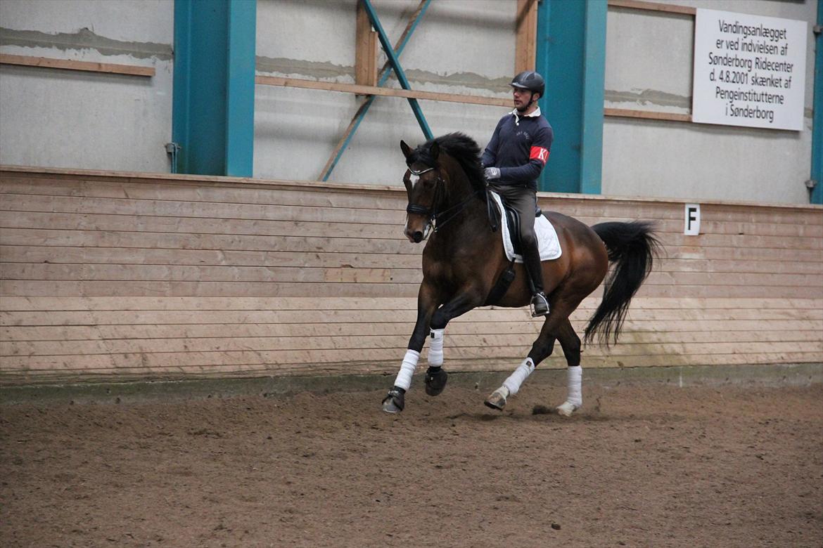 Dansk Varmblod Free Willy; Babyface <3 B-hest! - Træning d. 2. april 2012
Rytter: Michael Grønne Christensen billede 4