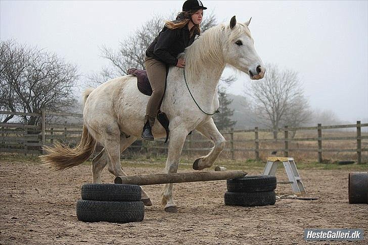 Pinto Rollo | Savnet & elsket foraltid | - 11. Hopla med bassen :D- Ikke vores speciale, men meget sjovt en gang imellem (-; <3 Foto: Signe billede 11