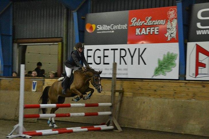 Anden særlig race Tosca J - mig og tosca på vir billede 2