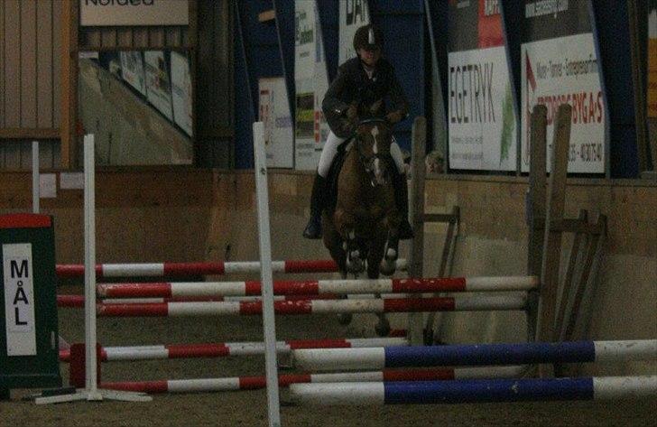 Anden særlig race Tosca J - omspringning billede 7