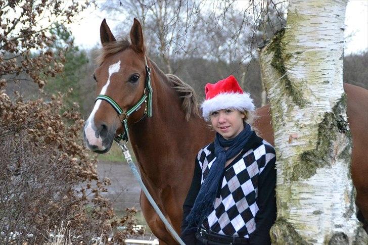 Anden særlig race Tosca J - hygge billede 14