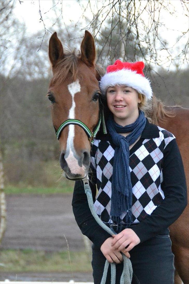 Anden særlig race Tosca J - sødde billede 15