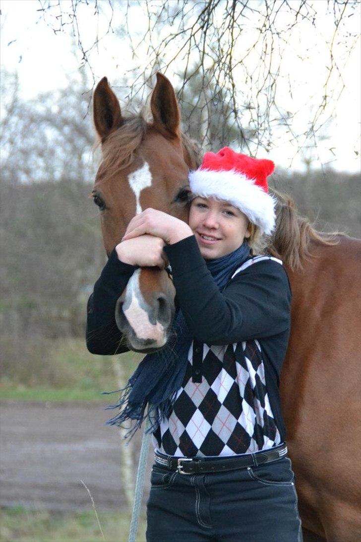 Anden særlig race Tosca J - nusser billede 10