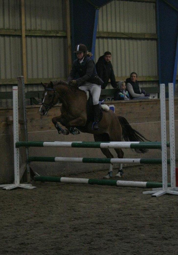 Anden særlig race Tosca J - os i LB billede 18