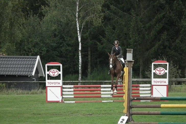 Frederiksborg Frederikke billede 11