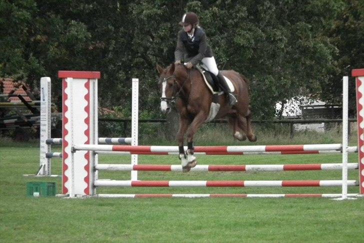 Frederiksborg Frederikke billede 12