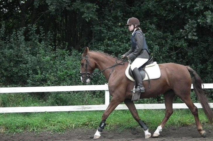 Frederiksborg Frederikke billede 13