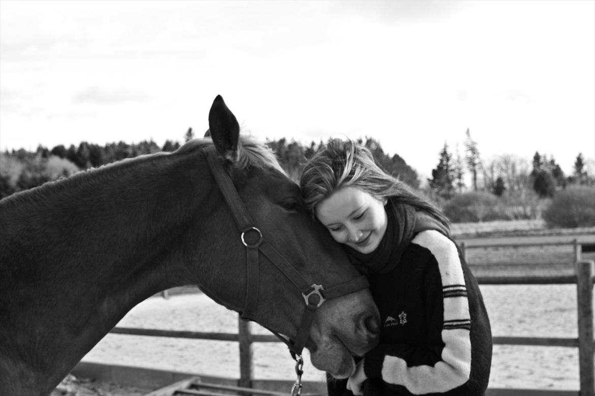 Frederiksborg | Ajaxander Jones (Ajax) - Taget på vores 1års dag <3 billede 18