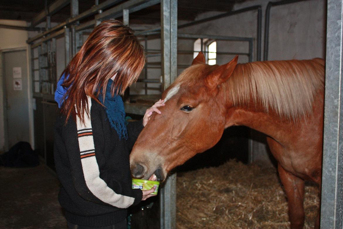 Frederiksborg | Ajaxander Jones (Ajax) - Han er så dejlig! billede 19