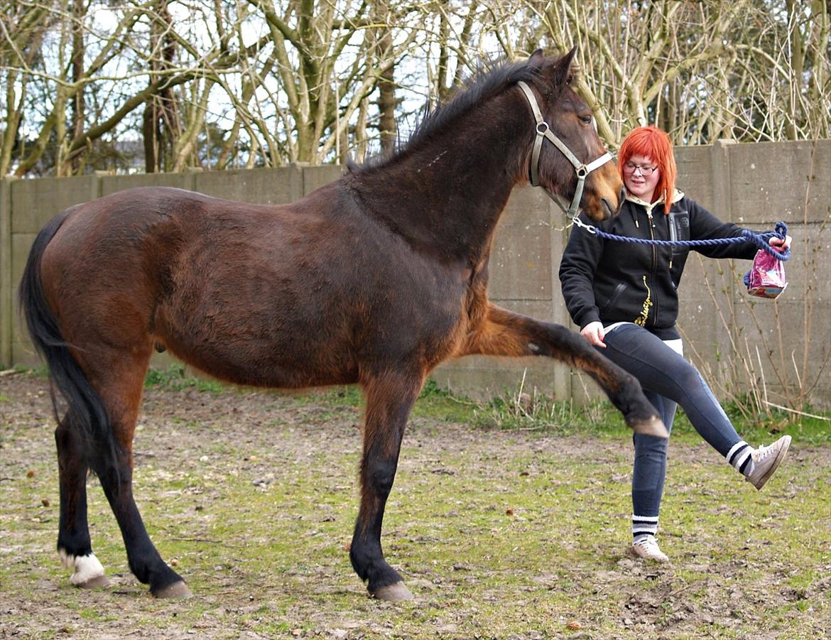 Traver Condi Crown  'Mit livs lys' <3 - A friend is someone who knows the song in your heart, and can sing it back to you when you have forgotten the words. ♥ billede 9