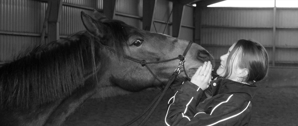 DSP Stidsbjergs Chanie - Du kan altid gøre mig glad!<3 billede 8